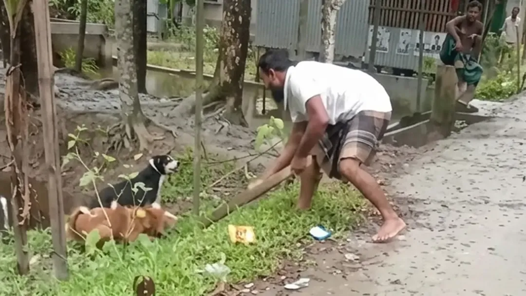 পটুয়াখালীতে কুকুর হত্যার ঘটনায় মামলা