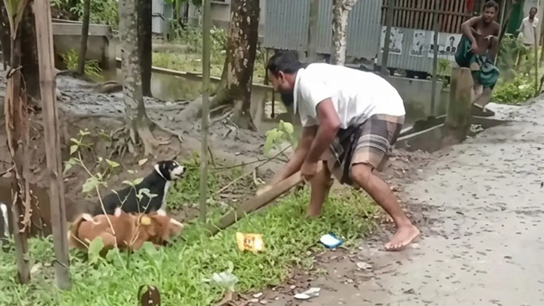 patuakhali-20260726182608