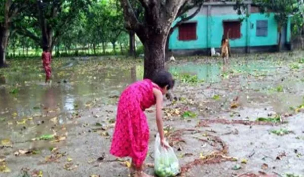 অন্যের গাছের ফল কুড়িয়ে খাওয়া জায়েজ হবে কিনা