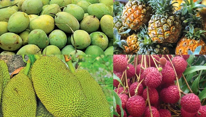 মৌসুমি ফল খাওয়ার দোয়া