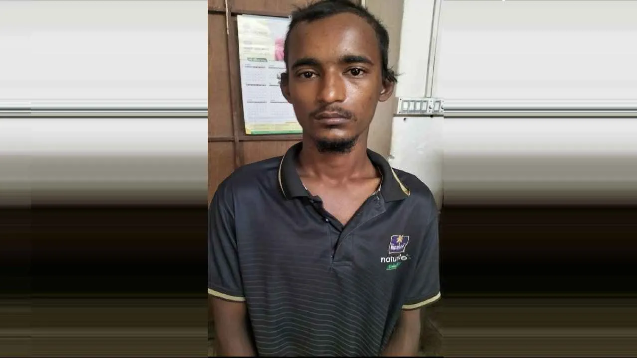 মোবাইল ছিনতাইয়ের ভিডিও ভাইরাল, গ্রেফতার ১