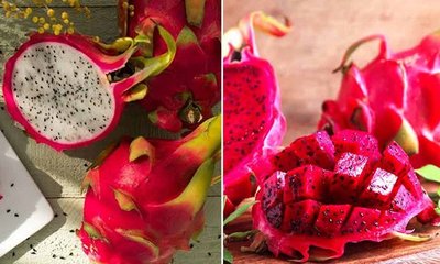 pitaya-fruit-2022