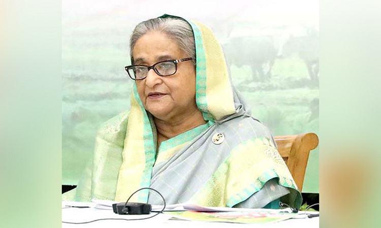 Why some parties want to oust her government: PM