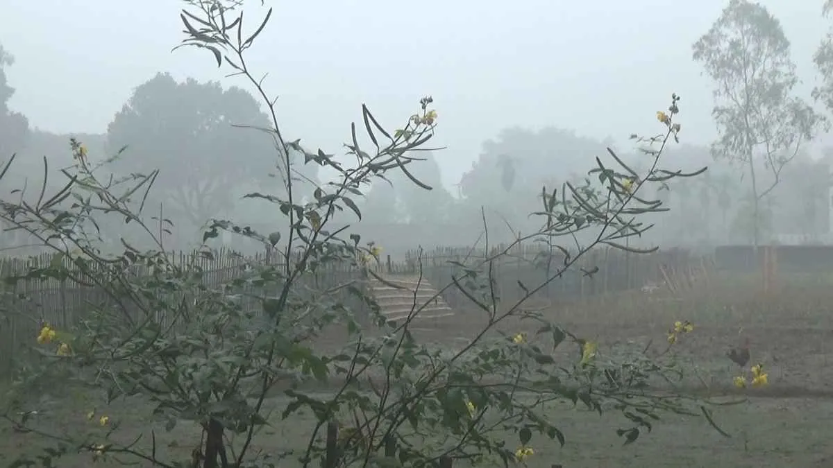 আশ্বিনের শেষে ঘন কুয়াশায় মোড়ানো পঞ্চগড়