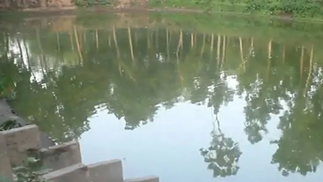 pond1-20260729194117