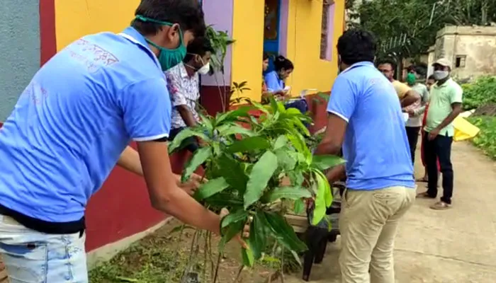 ইসলামী ছাত্রশিবিরের উদ্যোগে গাছের চারা বিতরণ