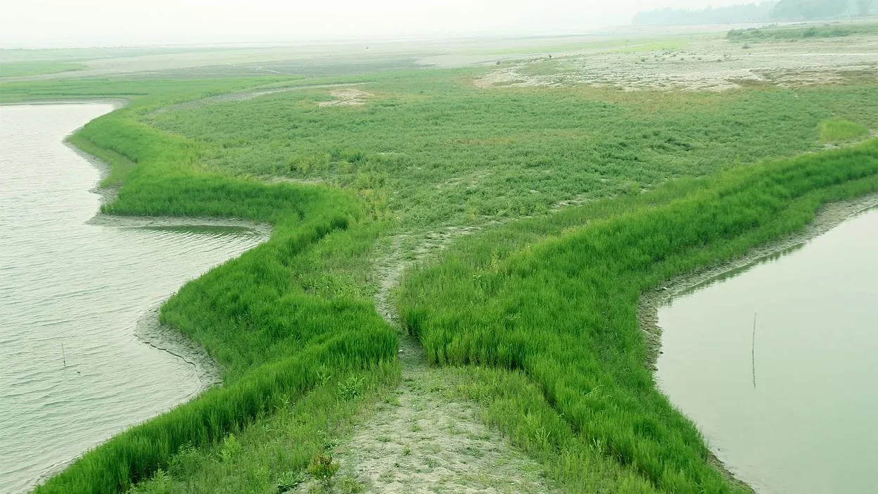 চর