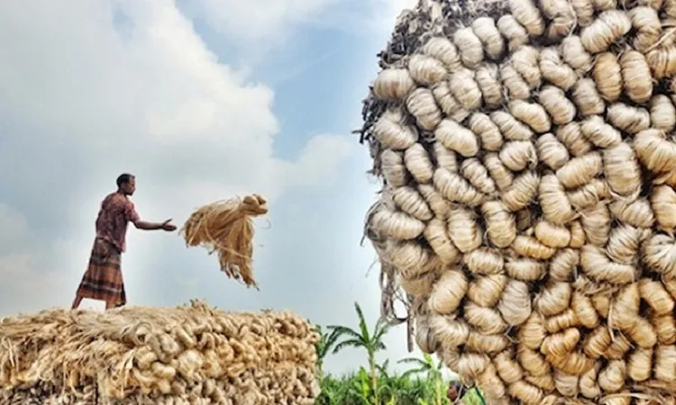 রপ্তানির ঊর্ধ্বমুখী গতি, পাটপণ্যে নেই
