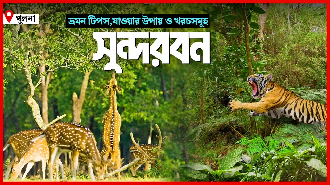 পৃথিবীর বৃহত্তম ম্যানগ্রোভ সুন্দরবন