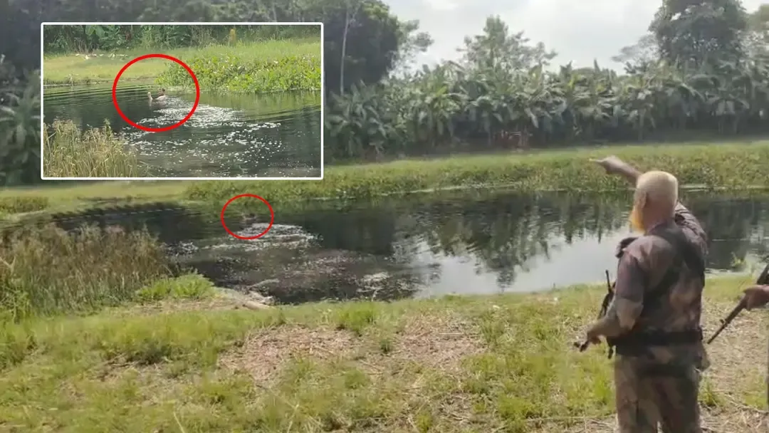 মহেশপুর সীমান্তে বিএসএফের পুশইন চেষ্টা ঠেকাল বিজিবি