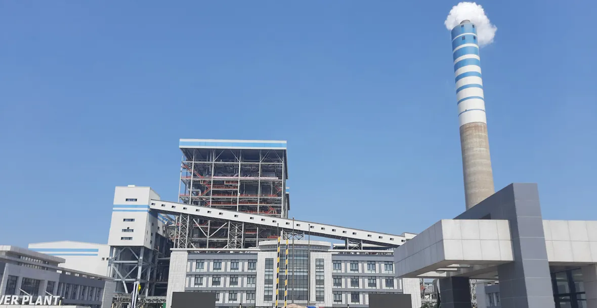 উদ্বোধনের জন্য প্রস্তুত পায়রা