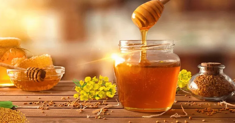 কোন মধু স্বাস্থ্যের পক্ষে বেশি উপকারী, চেনার উপায় কী?