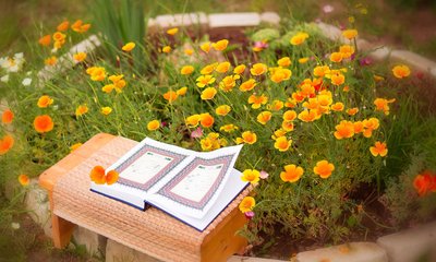 quran-flowers-20240518183909