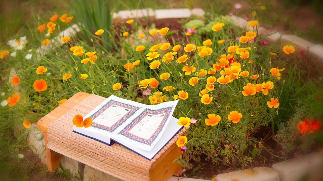quran-flowers-20251218103125