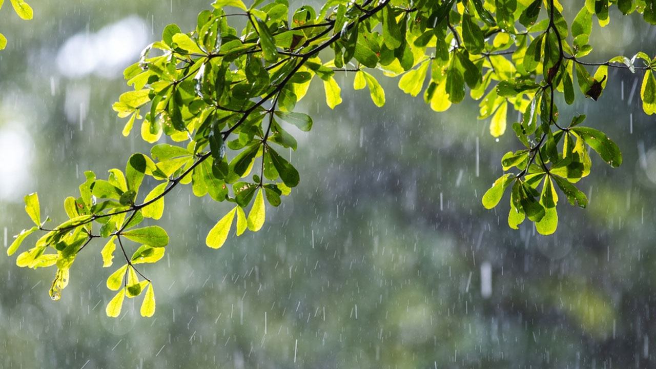 তিন বিভাগে অতি ভারী বৃষ্টির আভাস