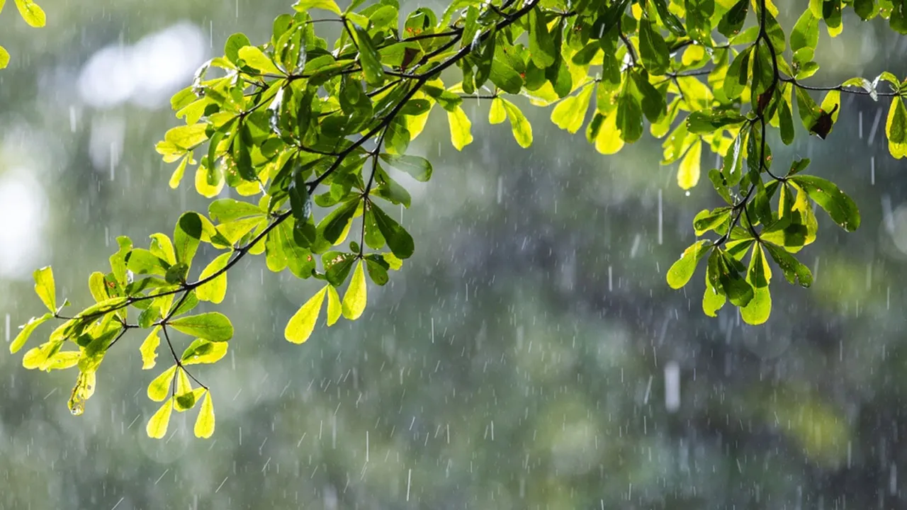 তিন বিভাগে অতি ভারী বৃষ্টির আভাস