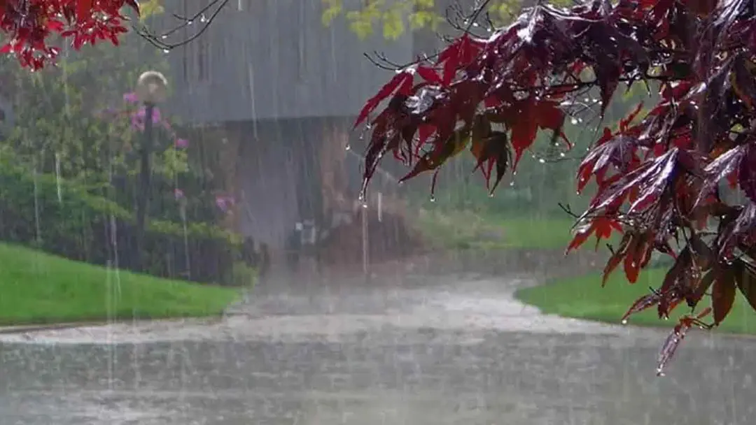 rain-20260520133057