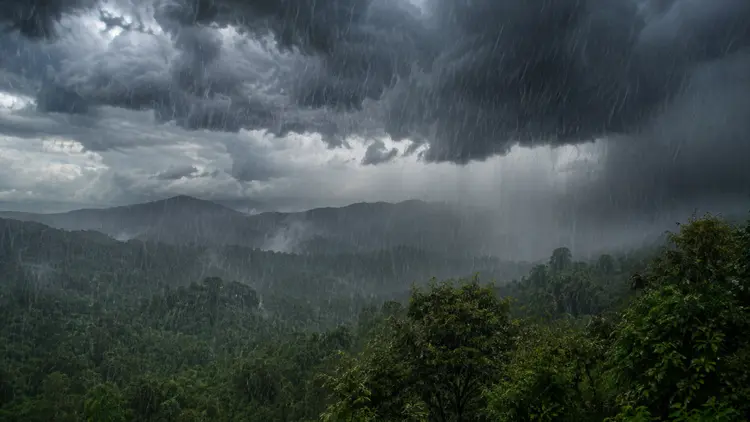 rain-20260828081322