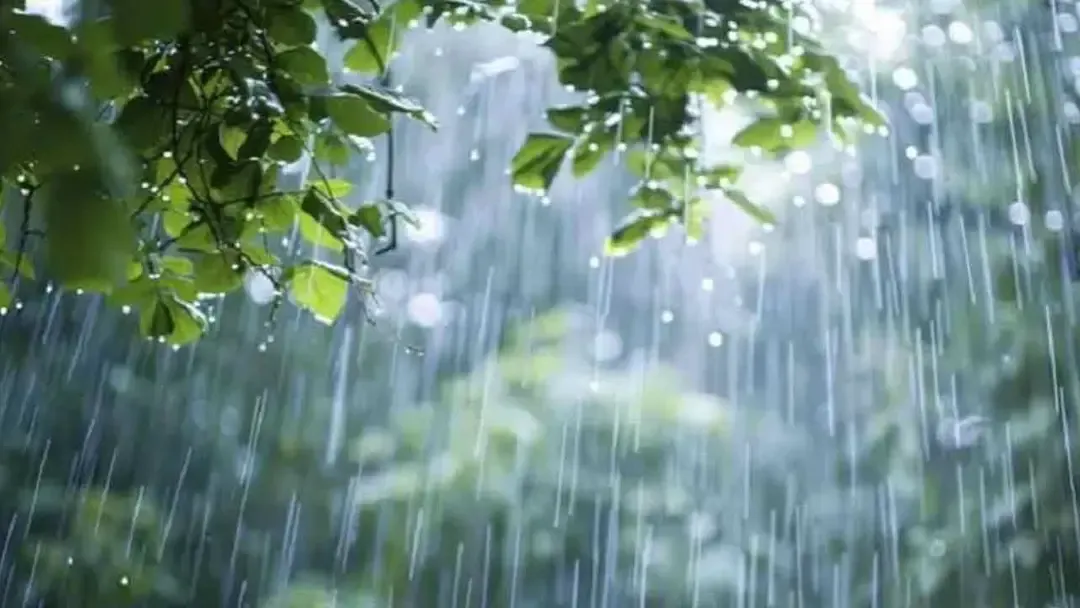 সারাদেশে বজ্রসহ বৃষ্টির আভাস, চলবে আরও পাঁচ দিন