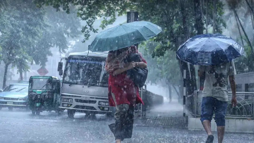 rain2-20260707074513