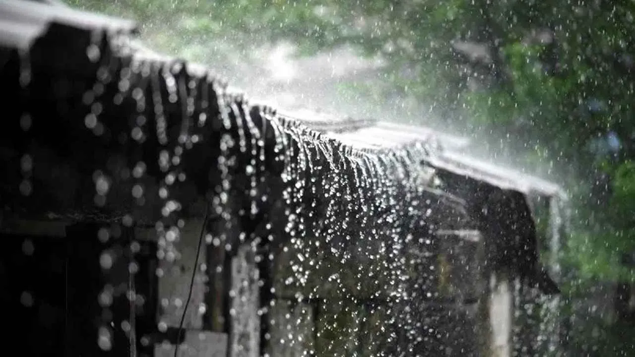 সন্ধ্যার মধ্যে যেসব এলাকায় বৃষ্টি হতে পারে