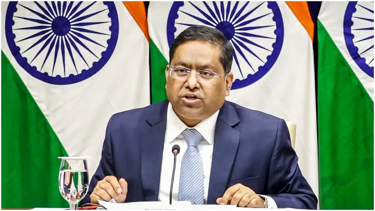 শেখ হাসিনার প্রত্যর্পণ নিয়ে মন্তব্য নেই : ভারত