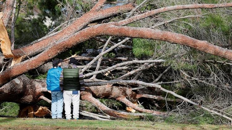 12 killed as California braces for 'parade of cyclones'