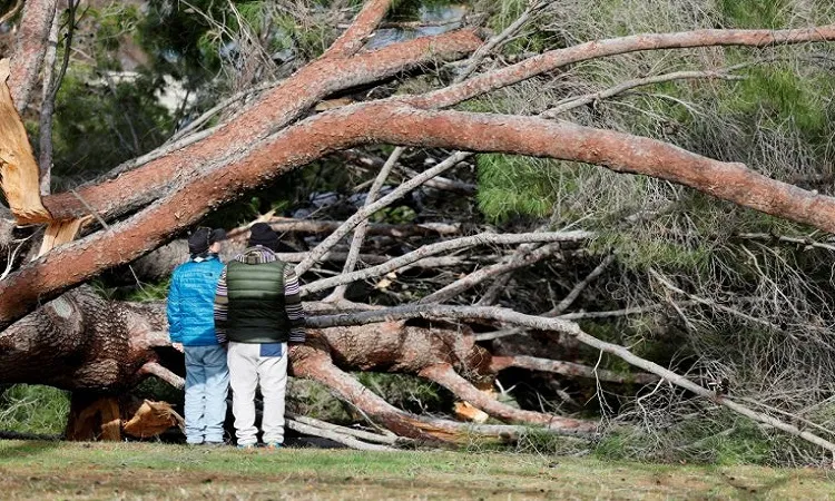12 killed as California braces for 'parade of cyclones'