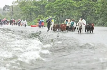 বন্যায় মৃতের সংখ্যা বেড়ে ৭৩