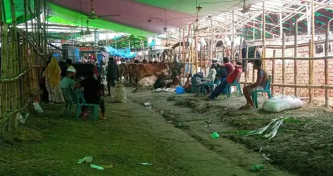পর্যাপ্ত পশু না থাকায় বেড়েছে ক্রেতার চাপ