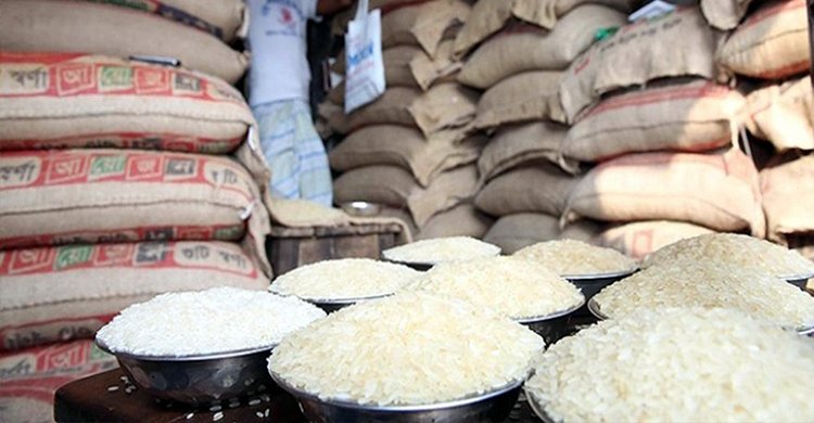 rice-20250305182445