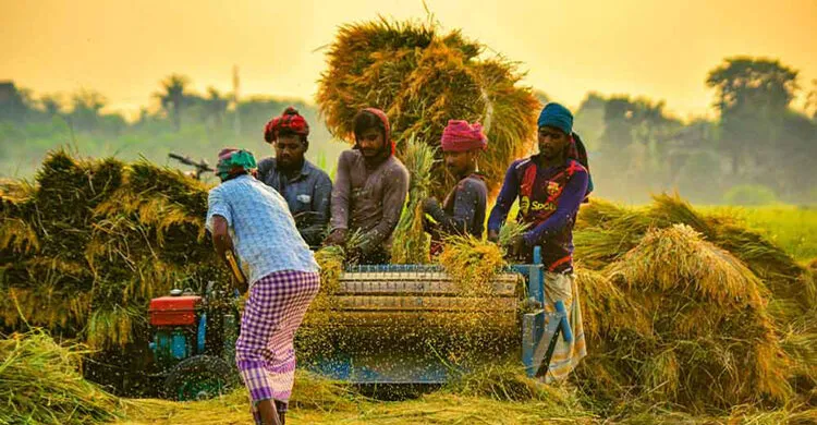 ৪৯ টাকায় চাল ও ৩৬ টাকা দরে ধান কিনবে সরকার