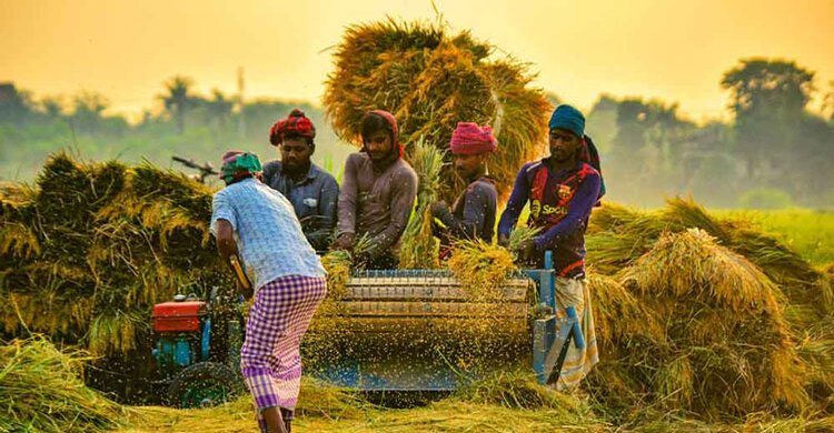 rice2-20250409172749