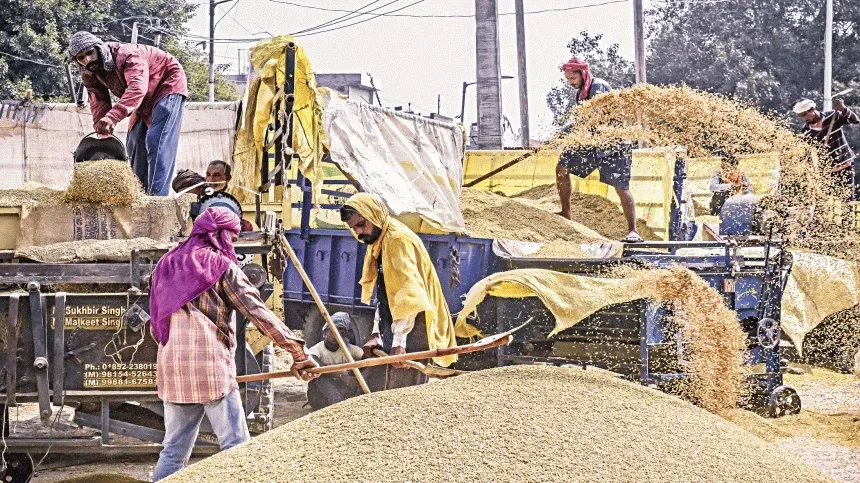 India rice export ban puts market on edge for copycat curbs