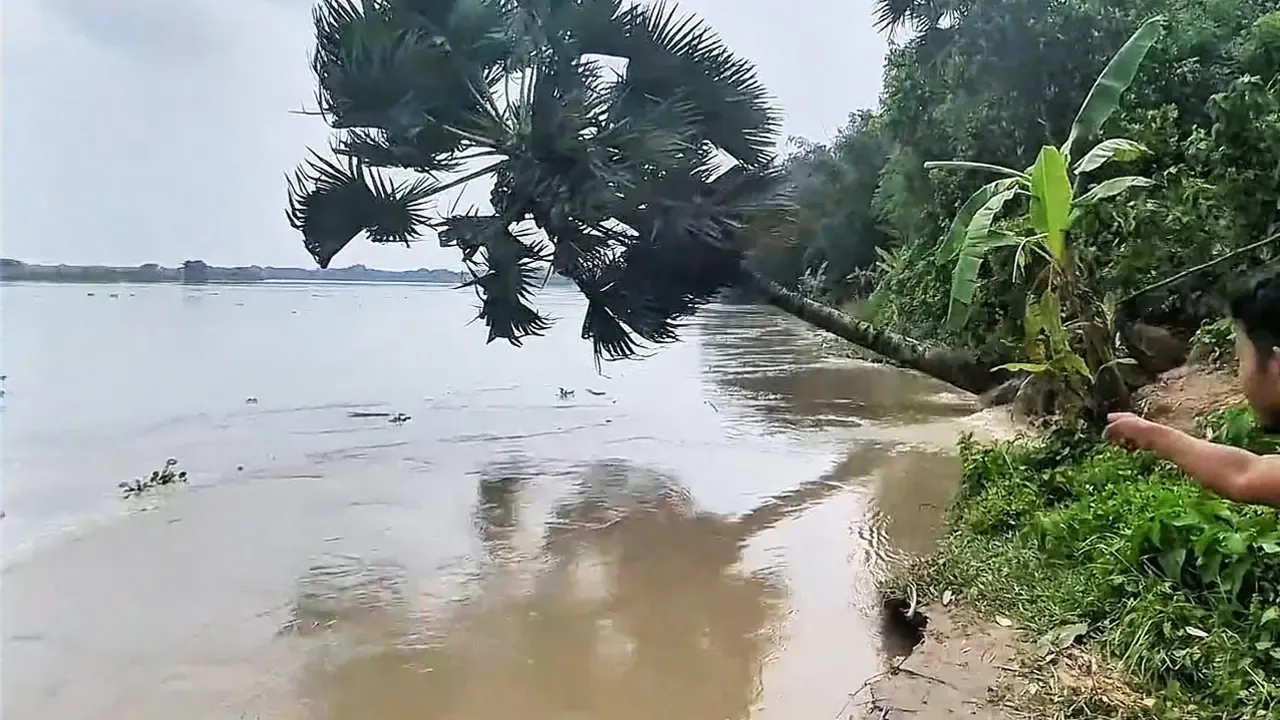 গড়াই নদীর ভাঙনে বিলীন ১০ একর জমি