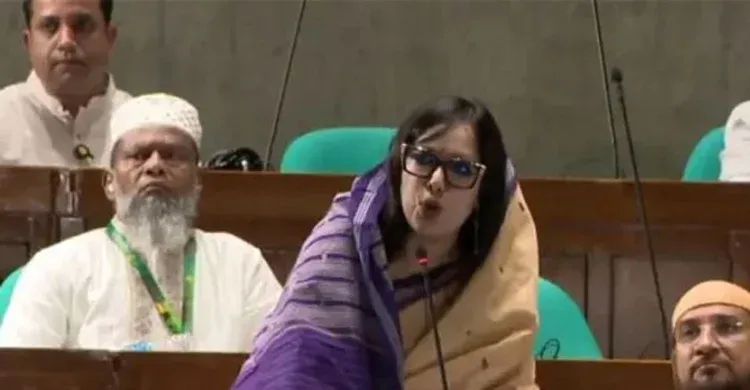 সংবিধান সংস্কার পরিষদের শপথ  না নেয়ার  কারণ জানালেন  রুমিন