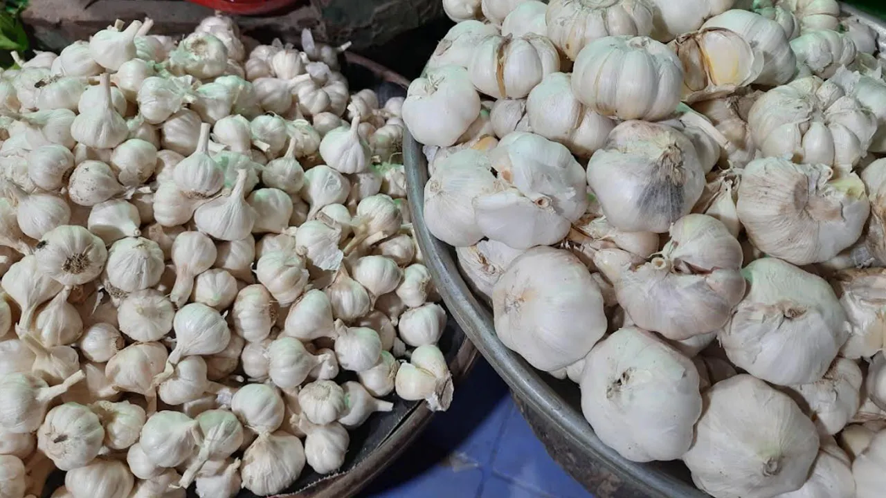 ঈদের আগেই বেড়েছে রসুনের দাম
