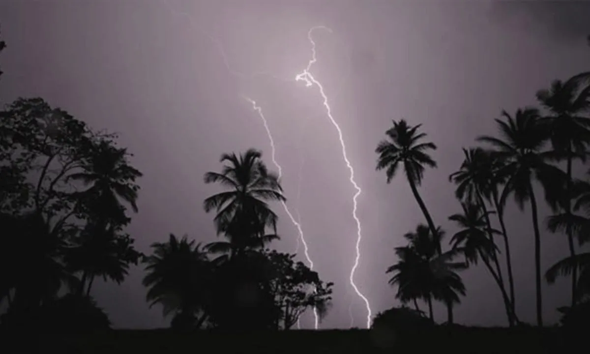 বজ্রপাতে তিন জেলায় ৫ জনের মৃত্যু