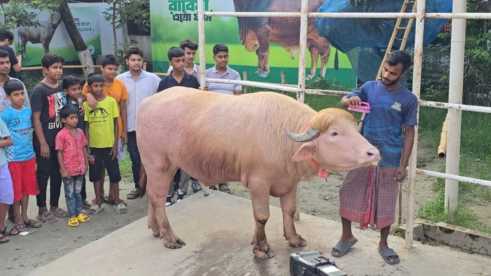 ৬ লাখে বিক্রি হলো ‘নেতানিয়াহু’, সাড়ে তিনে ‘ডোনাল্ড ট্রাম্প’