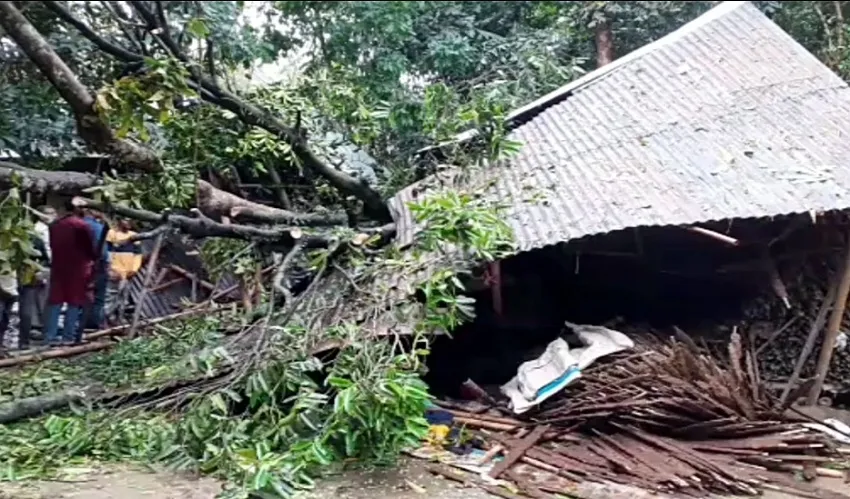 কালবৈশাখী ঝড় ও বজ্রপাতে ৮ জনের মৃত্যু