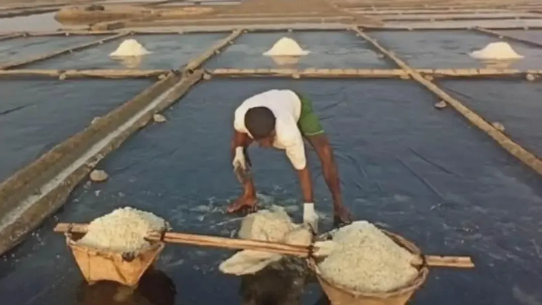 কালবৈশাখী ঝড়ে কোটি টাকার লবণ মিশে গেছে পানিতে, ক্ষতির মুখে চাষিরা