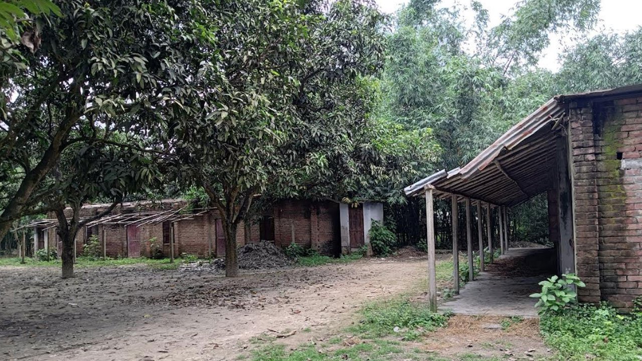school-20250727103613