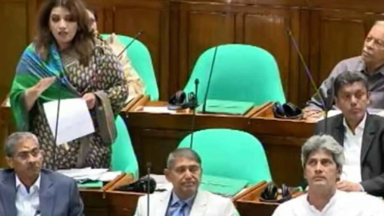 আমেরিকার বাজারের বাইরে নতুন বাজার খোঁজা শুরু হয়েছে: শামা ওবায়েদ