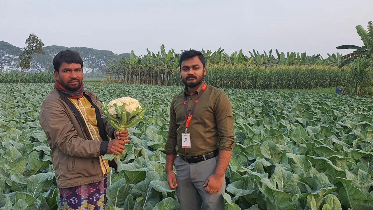হতাশ হয়ে পড়া মেহেরপুরের কৃষকের পাশে ‘স্বপ্ন’
