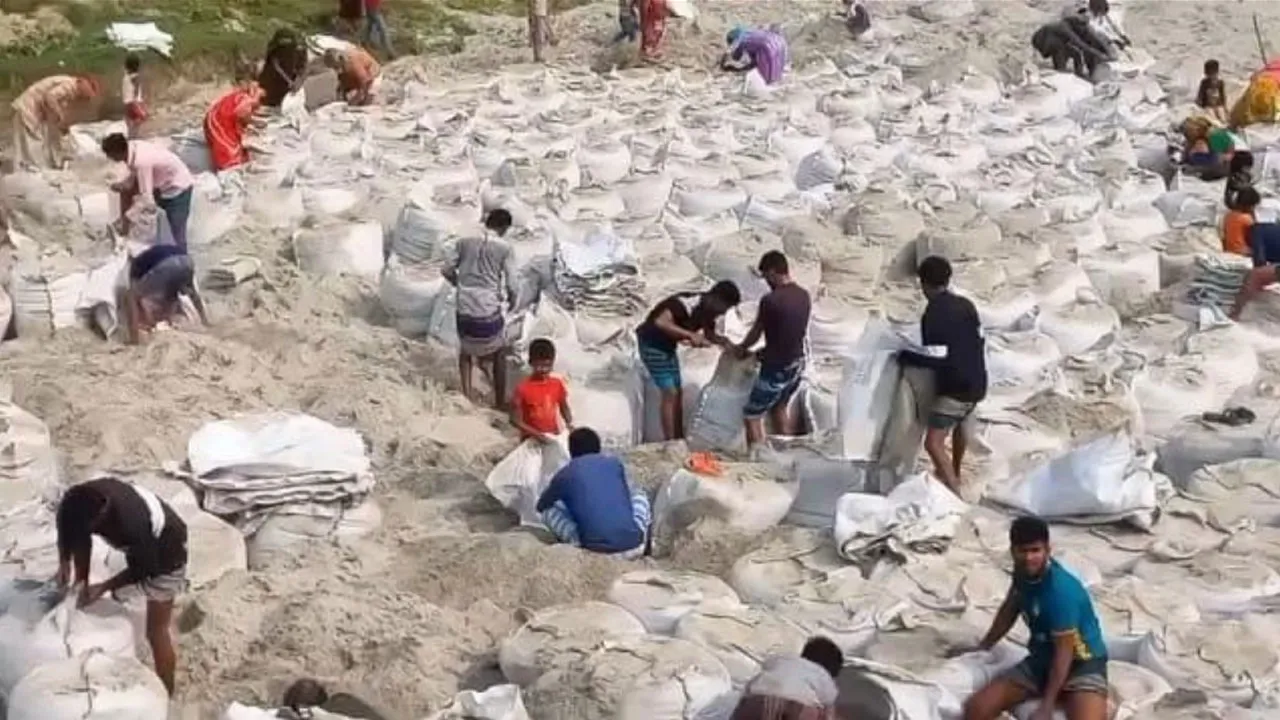 শরীয়তপুরে নদীর তীর রক্ষা বাঁধের ১০ হাজারের বেশি জিওব্যাগ লুট