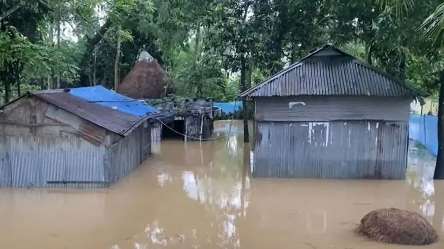 শেরপুরে কৃষি ও মৎস্য খাতে  ক্ষতি অন্তত ছয়শত কোটি