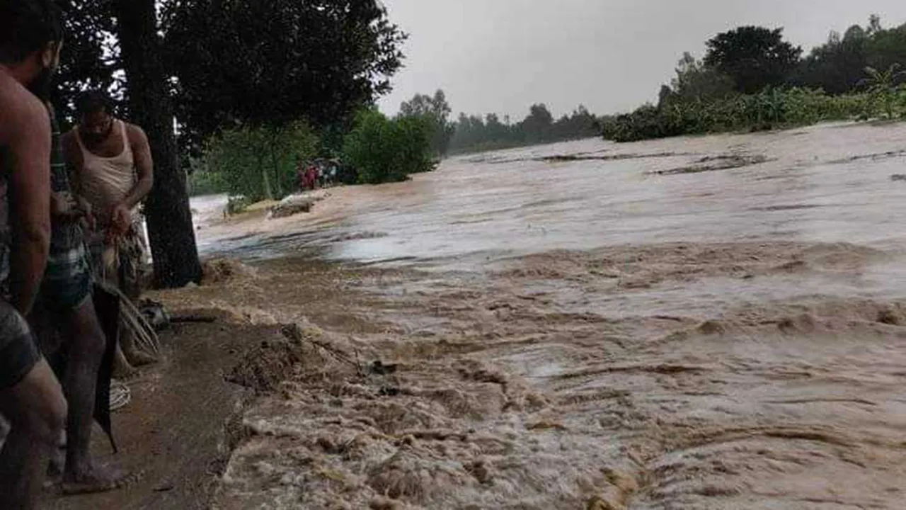 শেরপুরে পাহাড়ি ঢলে শতাধিক গ্রাম প্লাবিত, ভেঙেছে দুই নদীর পাড়