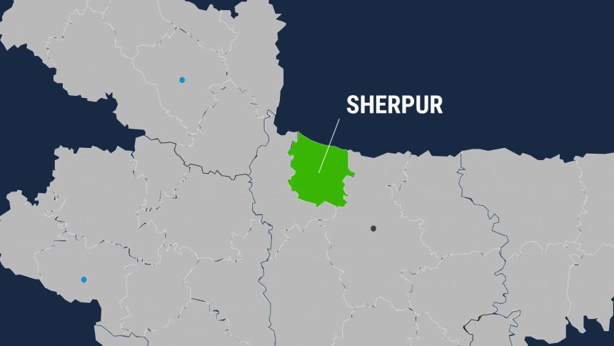 Wild elephant found dead in Sherpur