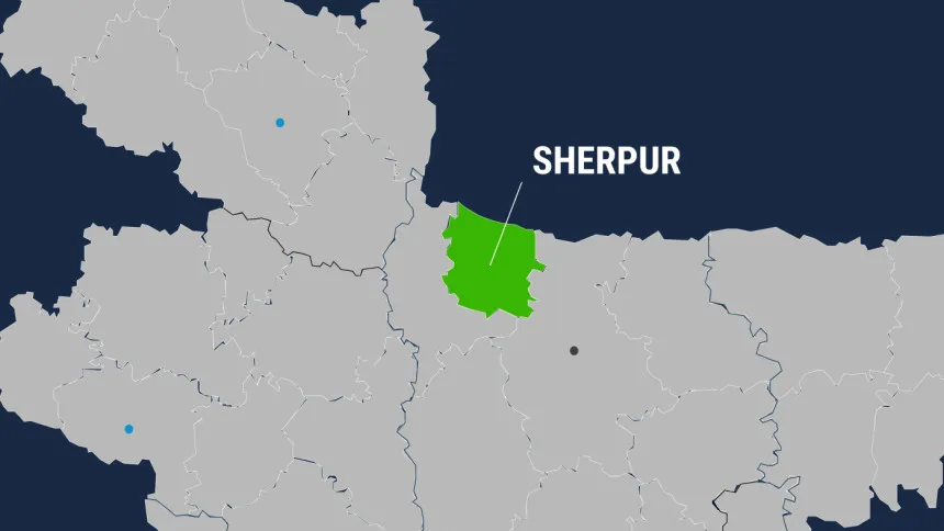 Wild elephant found dead in Sherpur