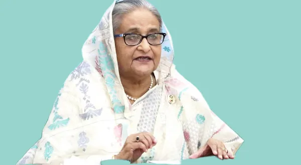 শেখ হাসিনাকে প্রত্যর্পণ বিষয়ে কী ভাবছে ভারত